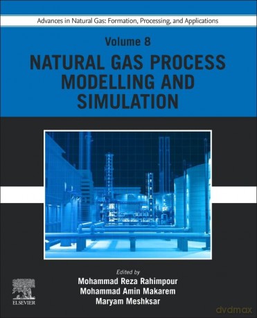 Advances in Natural Gas: Formation, Processing, and Applications. Volume 8: Natural Gas Process Modelling and Simulation (Advances in Natural Gas: Formation, Processing and Applications, 8) - Mohammad R Rahimpour [KSIĄŻKA]