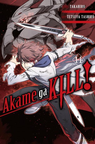 Akame ga Kill!, Vol. 14 (AKAME GA KILL GN) - Takahiro [KSIĄŻKA]