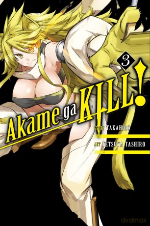 Akame ga KILL!, Vol. 3 (AKAME GA KILL GN) - Takahiro [KSIĄŻKA]