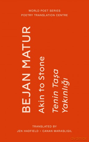 Akin to Stone (World Poet Series 19) - Bejan Matur [KSIĄŻKA]