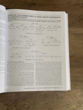 All the Genealogies of the Bible: Visual Charts and Exegetical Commentary - Dawson Nancy S. [KSIĄŻKA]