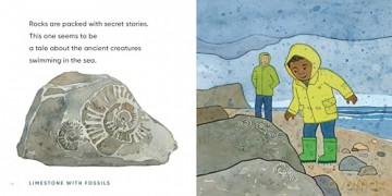 All the Rocks We Love - Lisa Varchol Perron [KSIĄŻKA]