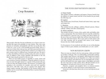 Allotment Gardening: An Organic Guide for Beginners - Berger Susan [KSIĄŻKA]