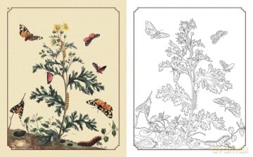 Amazing Butterflies Colouring Book: Beautiful illustrations to inspire creativity (Arcturus Classic Nature Colouring) - David Woodroffe [KSIĄŻKA]