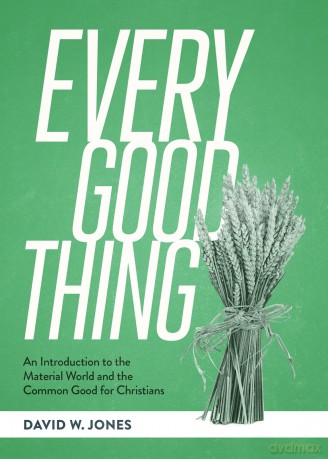An Introduction to the Material World and the Comm on Good for Christians (SEBTS) [KSIĄŻKA]