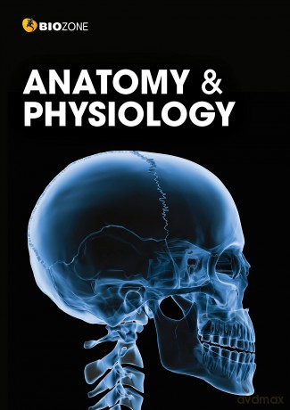 Anatomy and Physiology [KSIĄŻKA]