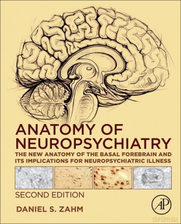 Anatomy of Neuropsychiatry: The New Anatomy of the Basal Forebrain and Its Implications for Neuropsychiatric Illness - Daniel S. Zahm [KSIĄŻKA]