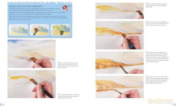 Anyone Can Paint Coastal Landscapes: Easy step-by-step projects to get you started - Charles Evans [KSIĄŻKA]
