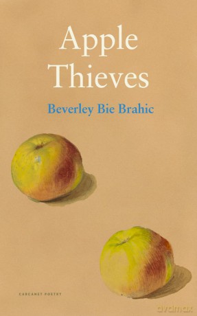 Apple Thieves - Beverley Bie Brahic [KSIĄŻKA]