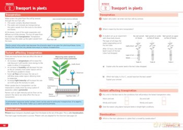 AQA GCSE 9-1 Biology Organise and Retrieve Your Knowledge (Collins GCSE Grade 9-1 Revision) [KSIĄŻKA]