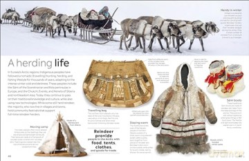 Arctic and Antarctic: DK Eyewitness - Dk [KSIĄŻKA]