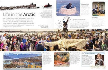 Arctic and Antarctic: DK Eyewitness - Dk [KSIĄŻKA]