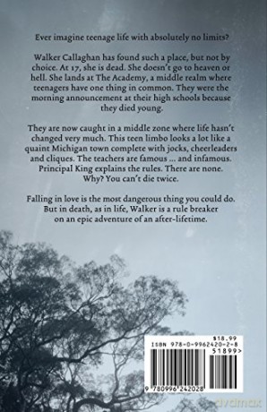 Ascenders: High School for the Recently Deceased: High School For the Recently Departed (Book One): Volume 1 (Ascenders Saga) - C.L. Gaber [KSIĄŻKA]