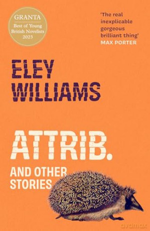 Attrib.: and Other Stories - The word-of-mouth hit short story collection from Granta Best Young British Novelist - Williams. Eley [KSIĄŻKA]