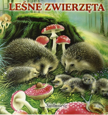 Leśne Zwierzęta [KSIĄŻKA]