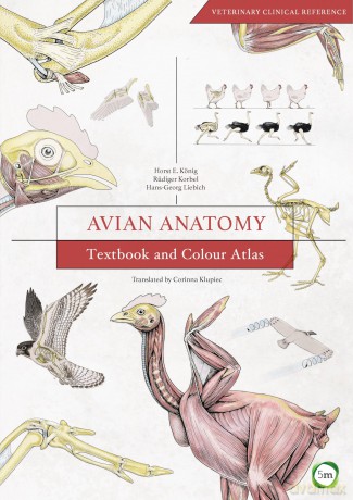 Avian Anatomy: Textbook and Colour Atlas (Veterinary Atlases) - Horst Erich Konig [KSIĄŻKA]