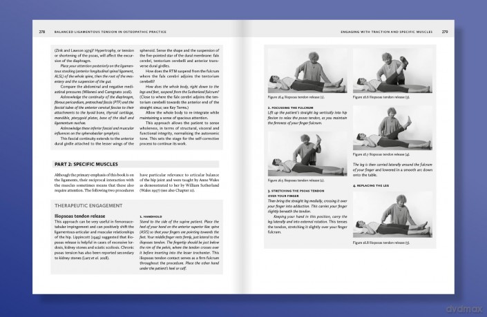 Balanced Ligamentous Tension in Osteopathic Practice - Susan Turner [KSIĄŻKA]