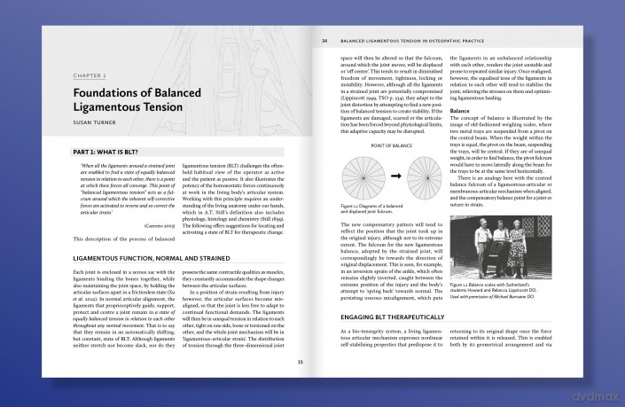 Balanced Ligamentous Tension in Osteopathic Practice - Susan Turner [KSIĄŻKA]