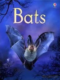 Bats [KSIĄŻKA]