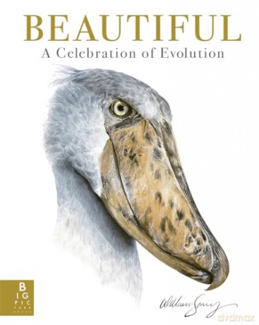 Beautiful: A Celebration of Evolution - William Spring [KSIĄŻKA]