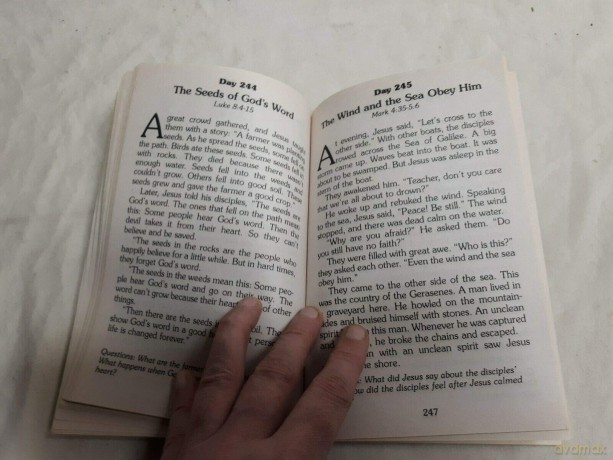 Bedtime Bible Story Book: 365 Read-aloud Stories from the Bible - Daniel Partner [KSIĄŻKA]