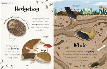 Bedtime Books: A Lovable Introduction to Animals and Dinosaurs (The Bedtime Books) - Zeshan Akhter [KSIĄŻKA]