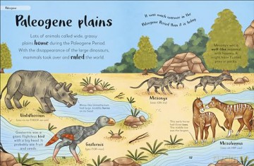 Bedtime Books: A Lovable Introduction to Animals and Dinosaurs (The Bedtime Books) - Zeshan Akhter [KSIĄŻKA]