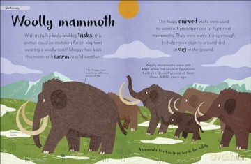 Bedtime Books: A Lovable Introduction to Animals and Dinosaurs (The Bedtime Books) - Zeshan Akhter [KSIĄŻKA]