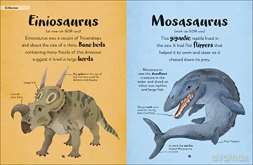 Bedtime Books: A Lovable Introduction to Animals and Dinosaurs (The Bedtime Books) - Zeshan Akhter [KSIĄŻKA]