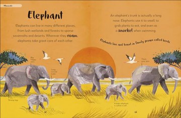 Bedtime Books: A Lovable Introduction to Animals and Dinosaurs (The Bedtime Books) - Zeshan Akhter [KSIĄŻKA]