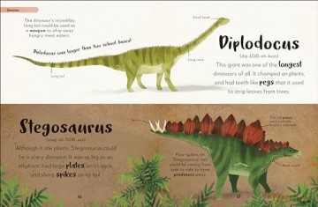 Bedtime Books: A Lovable Introduction to Animals and Dinosaurs (The Bedtime Books) - Zeshan Akhter [KSIĄŻKA]
