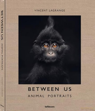 Between Us: Animal Portraits - Vincent Lagrange [KSIĄŻKA]