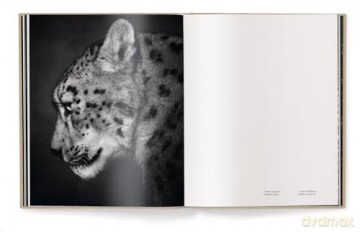 Between Us: Animal Portraits - Vincent Lagrange [KSIĄŻKA]