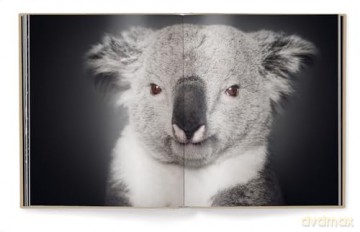 Between Us: Animal Portraits - Vincent Lagrange [KSIĄŻKA]