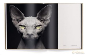 Between Us: Animal Portraits - Vincent Lagrange [KSIĄŻKA]