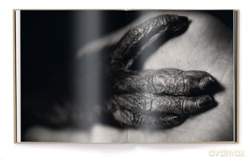 Between Us: Animal Portraits - Vincent Lagrange [KSIĄŻKA]