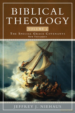 Biblical Theology, Volume 3: The Special Grace Covenants (New Testament) (Biblical Theology, 3) [KSIĄŻKA]