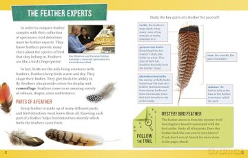 Bird Detectives: Science Sleuths and Their Feathered Friends - Kristine Rivers [KSIĄŻKA]