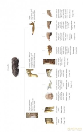 Bird Pellets: A Complete Photographic Guide (Pelagic Identification Guides) - Ed Drewitt [KSIĄŻKA]