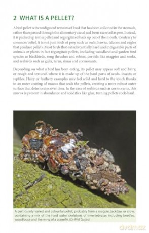 Bird Pellets: A Complete Photographic Guide (Pelagic Identification Guides) - Ed Drewitt [KSIĄŻKA]
