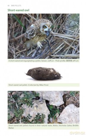 Bird Pellets: A Complete Photographic Guide (Pelagic Identification Guides) - Ed Drewitt [KSIĄŻKA]