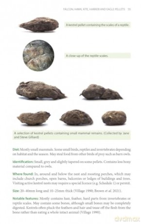 Bird Pellets: A Complete Photographic Guide (Pelagic Identification Guides) - Ed Drewitt [KSIĄŻKA]