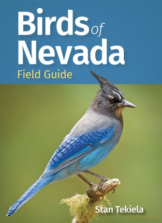 Birds of Nevada Field Guide (Bird Identification Guides) [KSIĄŻKA]