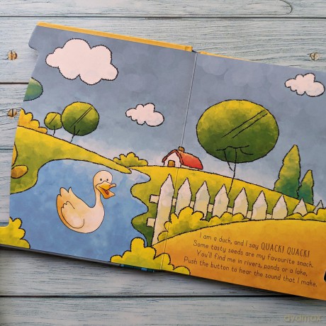 Birds, A Sound Board Book [KSIĄŻKA]