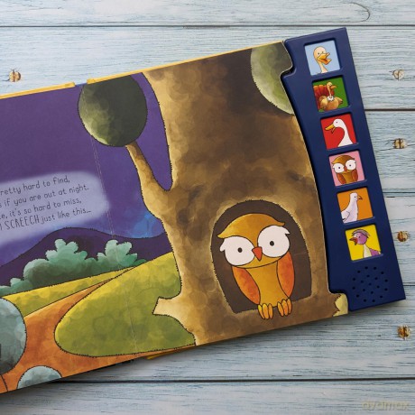 Birds, A Sound Board Book [KSIĄŻKA]