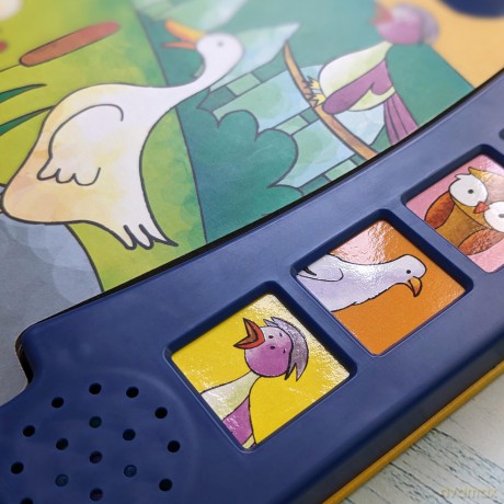 Birds, A Sound Board Book [KSIĄŻKA]