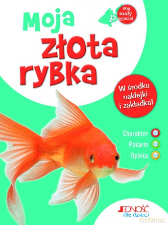 Moja Złota Rybka - Bruno Tenerezza [KSIĄŻKA]