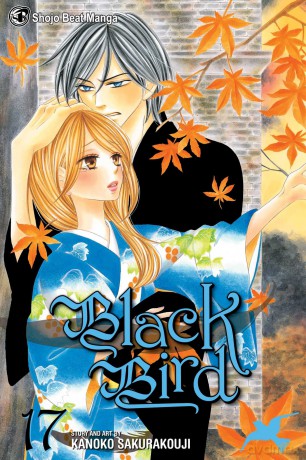 Black Bird, Vol. 17 - Kanoko Sakurakoji [KSIĄŻKA]