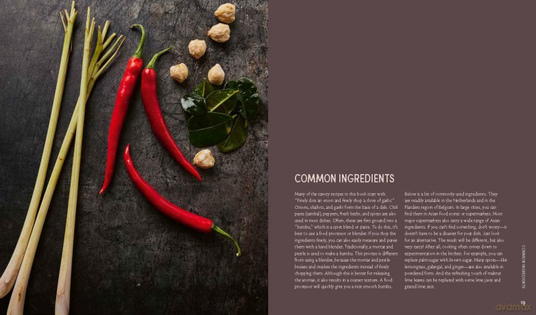 Blauw's Veggie Kitchen: Restaurant Blauw's crew presents 70 authentic vegetarian and vegan recipes - Restaurant Blauw [KSIĄŻKA]
