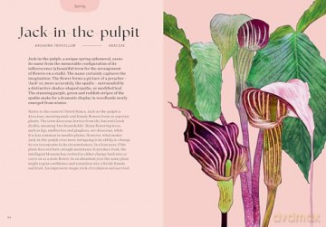 Blossom: Practical and Creative Ways to Find Wonder in the Floral World - Adriana Picker [KSIĄŻKA]